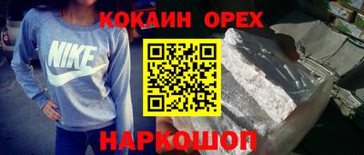 шишки Кингисепп