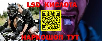 шишки Кингисепп