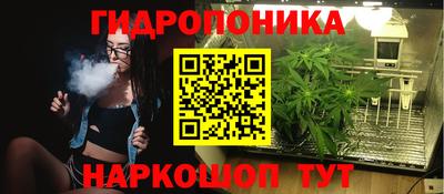 ECSTASY Кинель